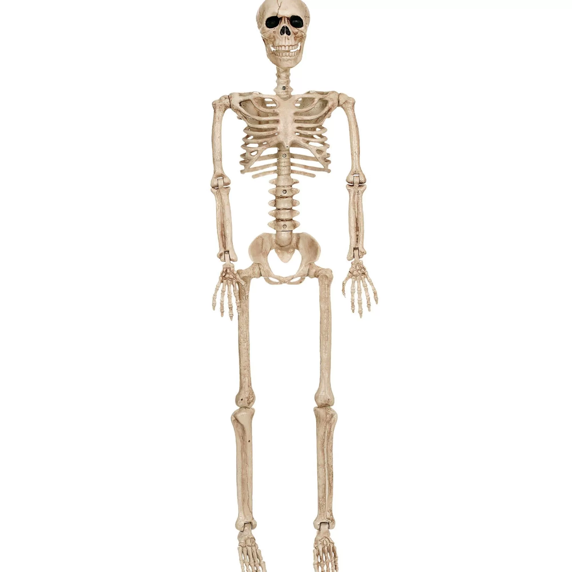 Party City Skeletons | Realistic Hanging Skeleton, 3Ft - Halloween Decoration