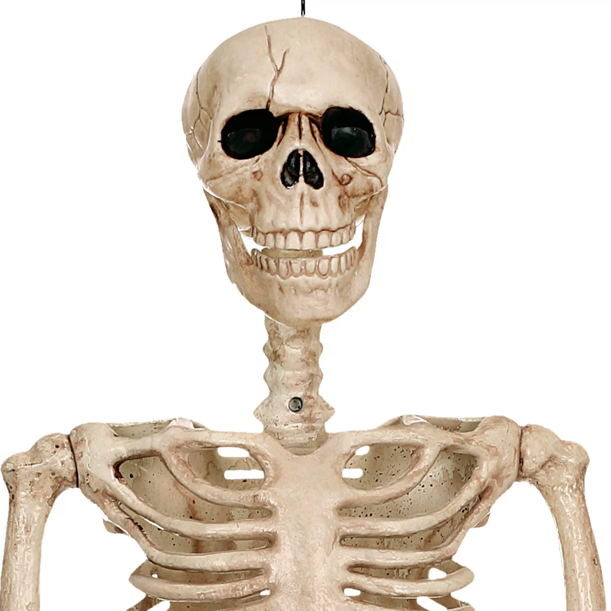 Party City Skeletons | Realistic Hanging Skeleton, 3Ft - Halloween Decoration