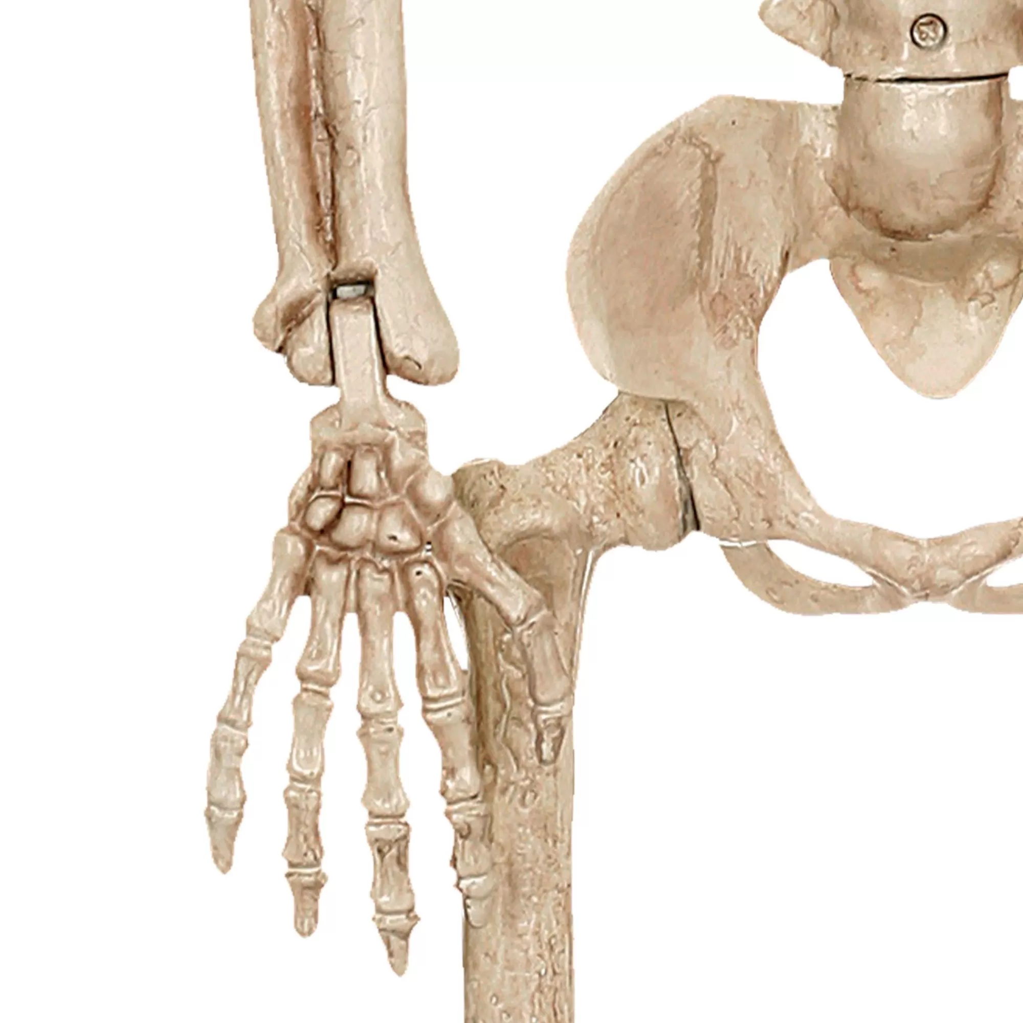 Party City Boneyard Glam | Realistic Hanging Skeleton, 3Ft - Halloween Decoration