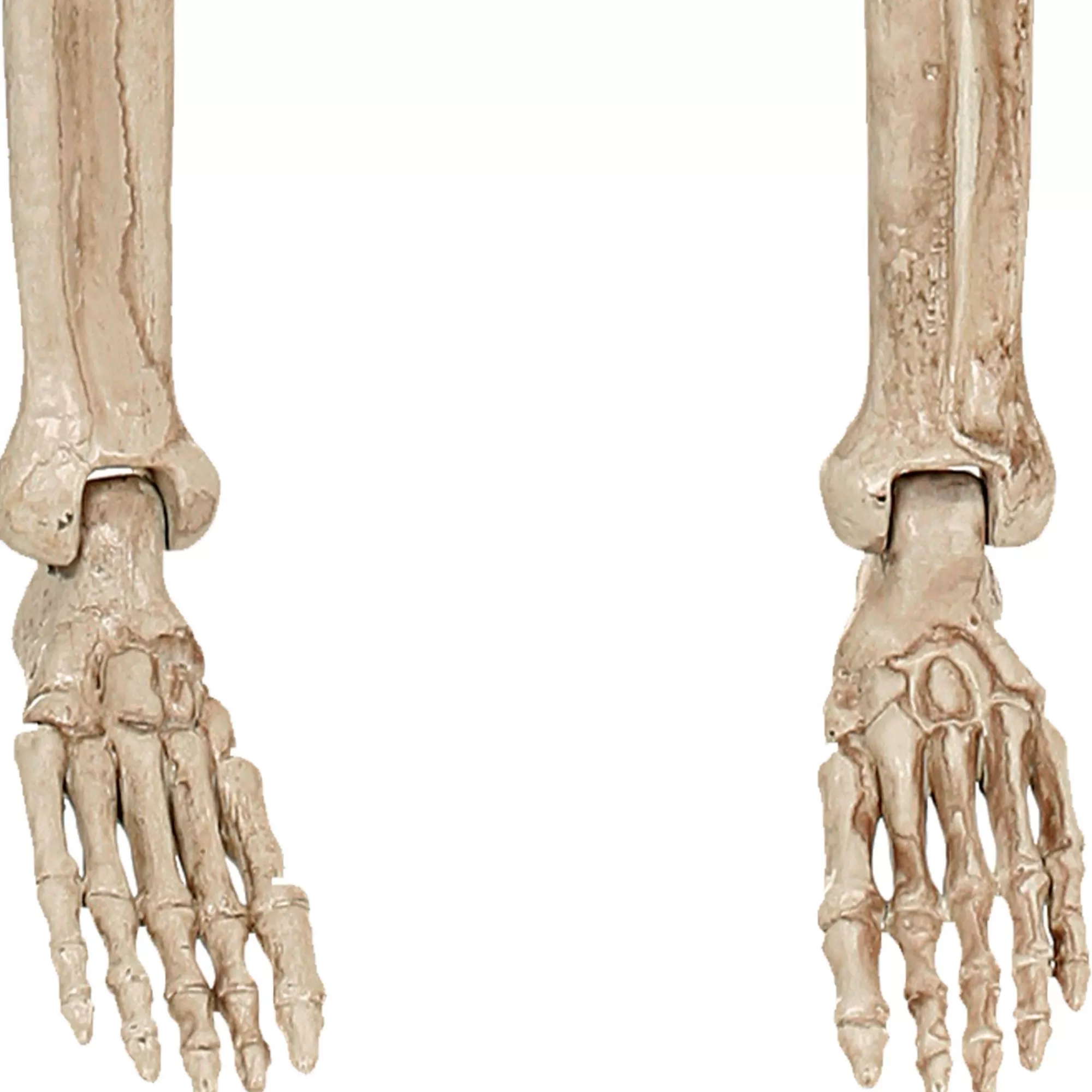Party City Boneyard Glam | Realistic Hanging Skeleton, 3Ft - Halloween Decoration