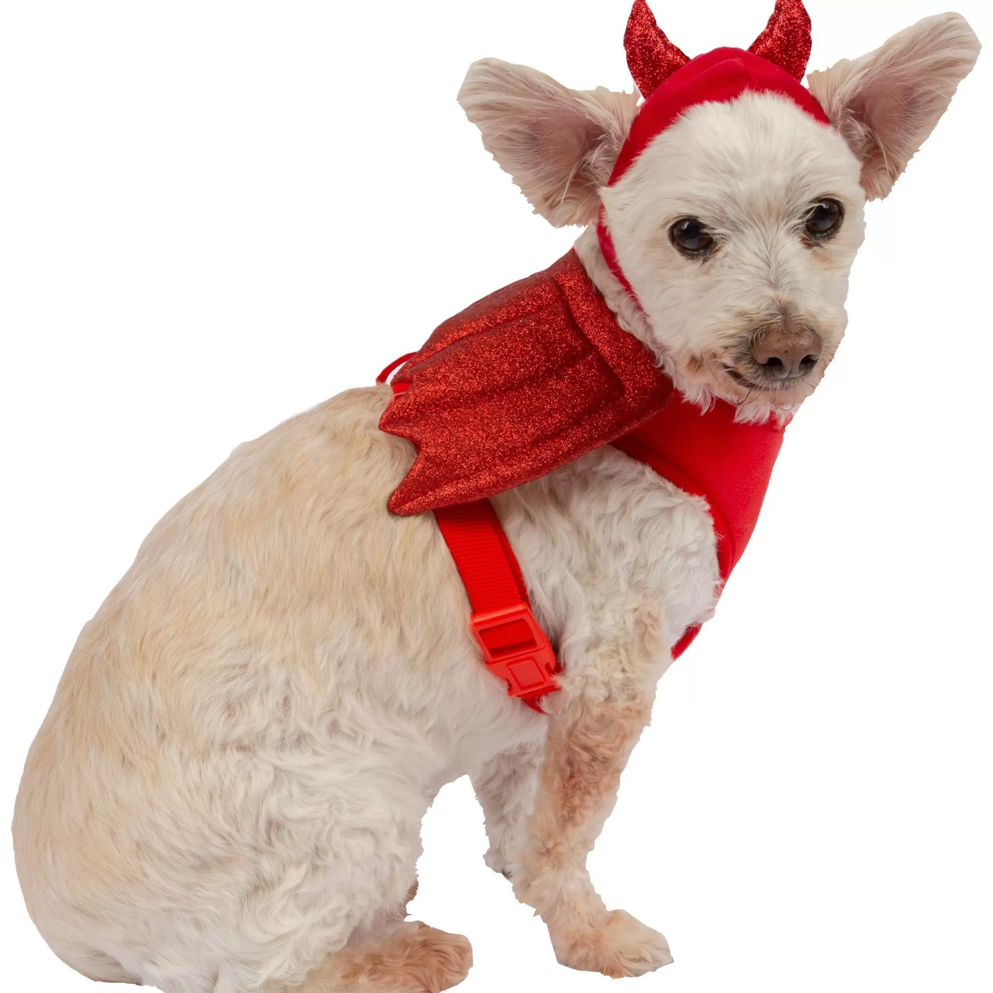 Party City Wings-Red Winged Devil Dog Harness Set