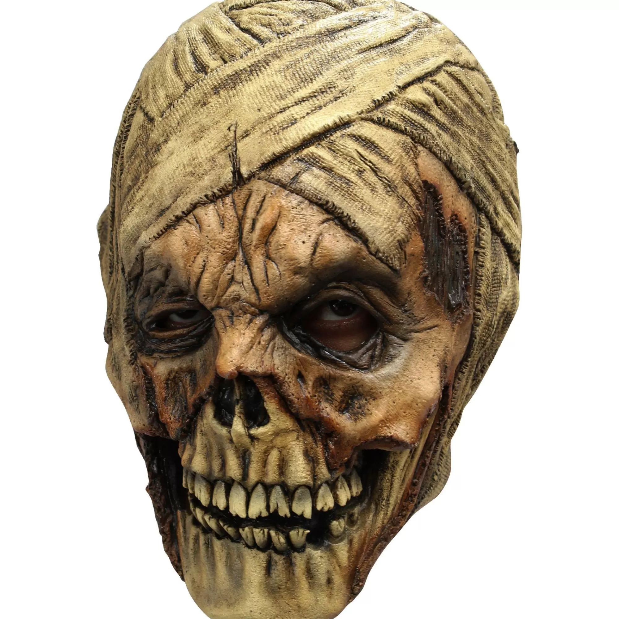 Party City Scary-Rotting Mummy Mask