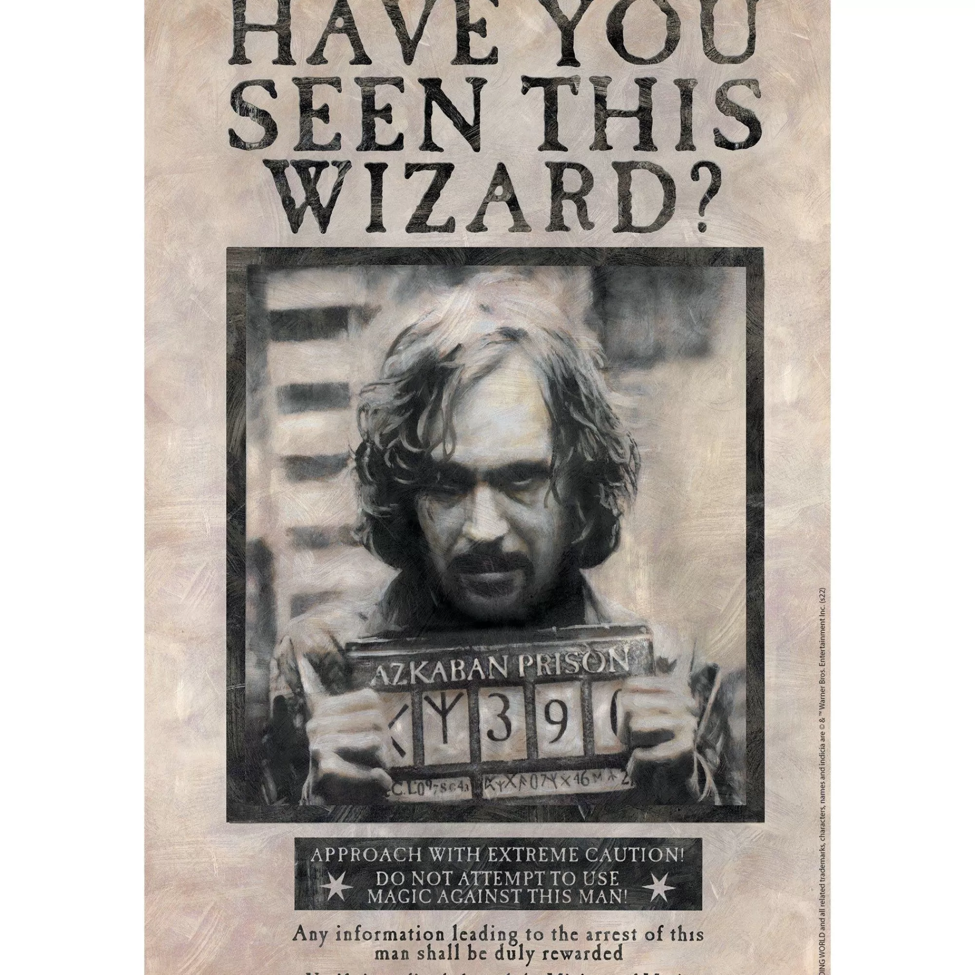 Party City Window & Wall Décor | Sirius Black Lenticular Plastic Cutout, 12In X 18In - Harry Potter