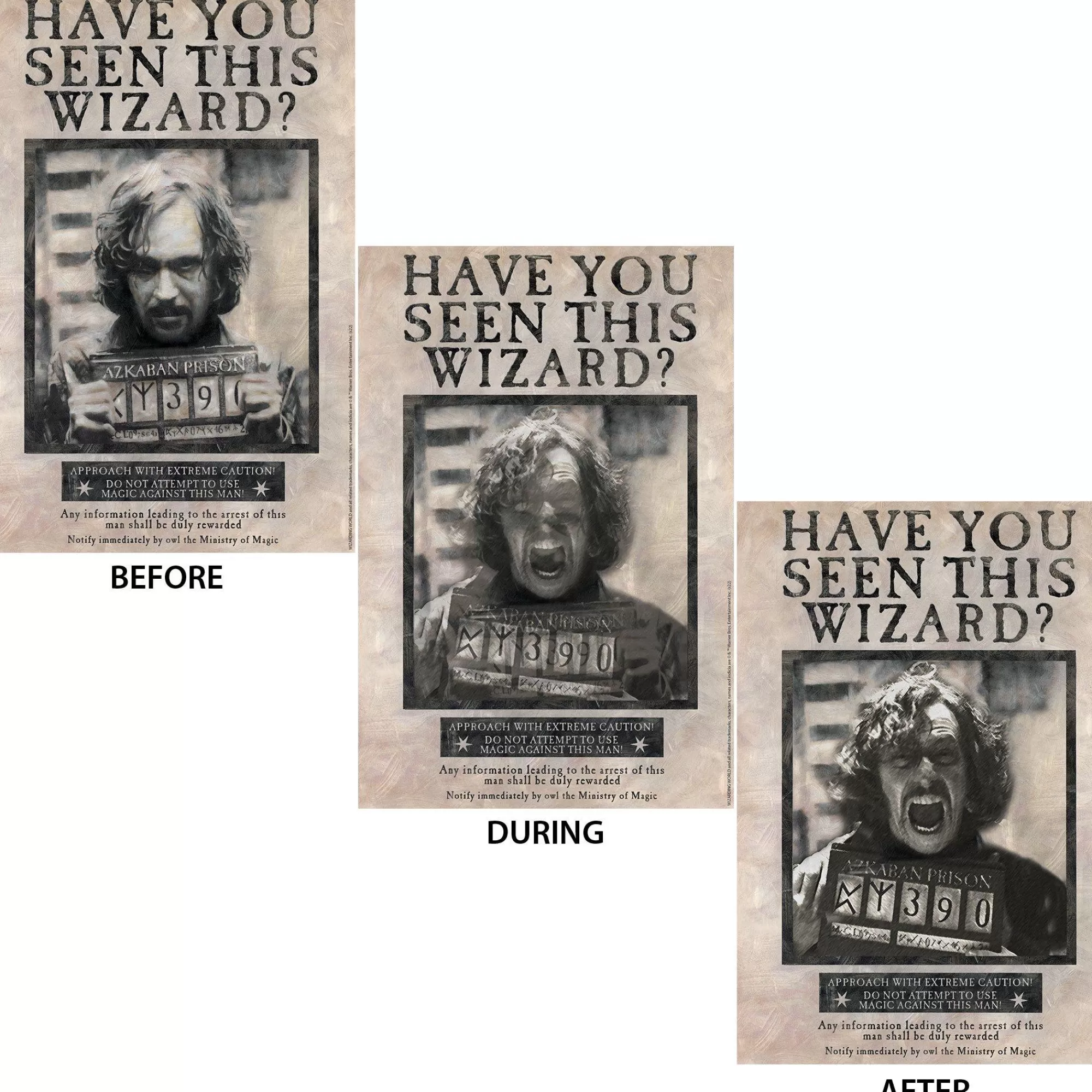 Party City Window & Wall Décor | Sirius Black Lenticular Plastic Cutout, 12In X 18In - Harry Potter