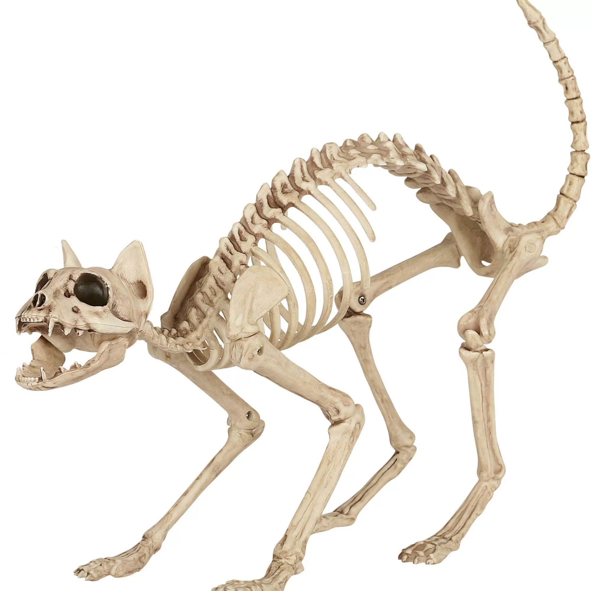 Party City Skeletons | Skeleton Cat Decoration, 18In X 10.25In