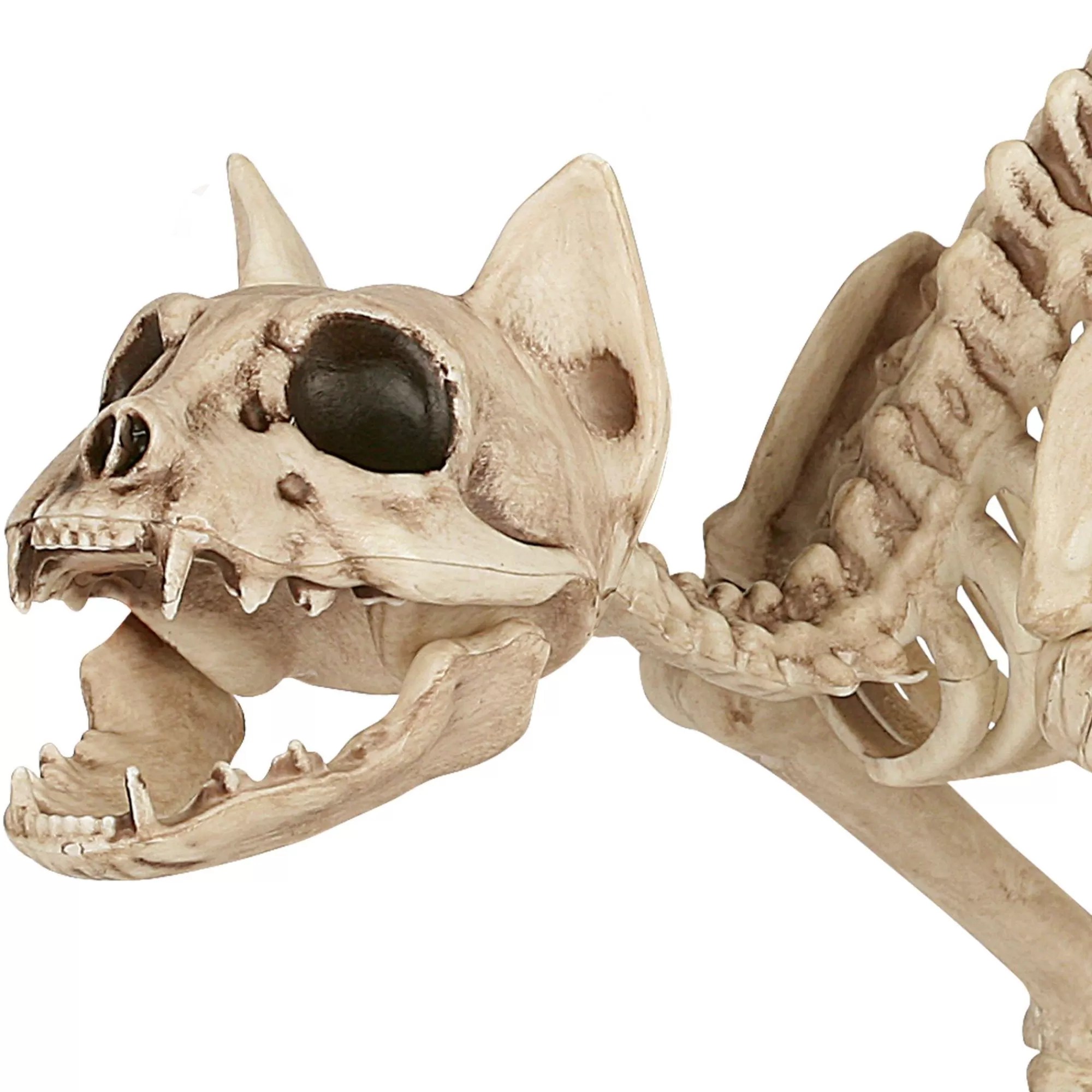 Party City Skeletons | Skeleton Cat Decoration, 18In X 10.25In