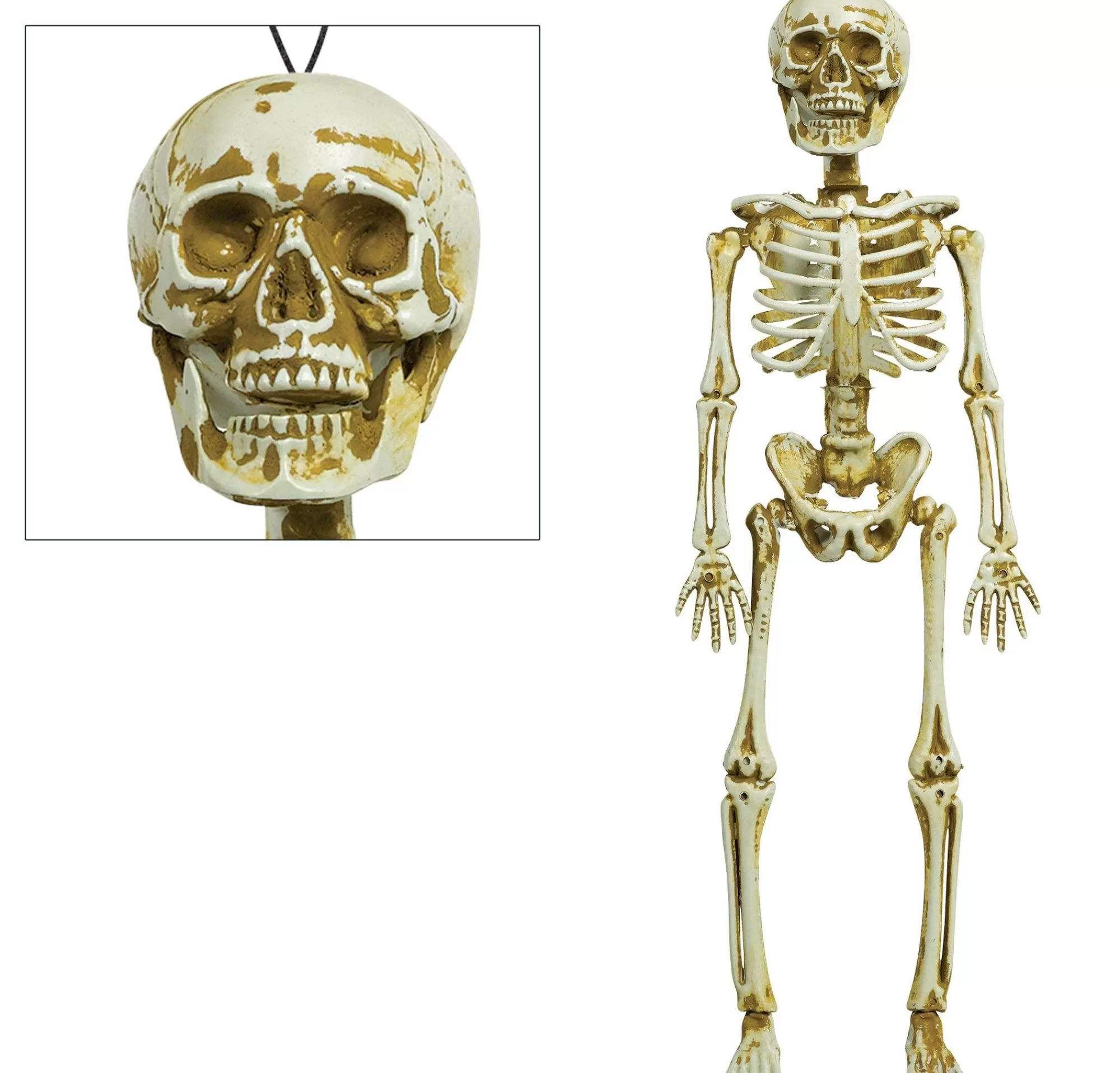 Party City Skeletons | Skeleton Decoration