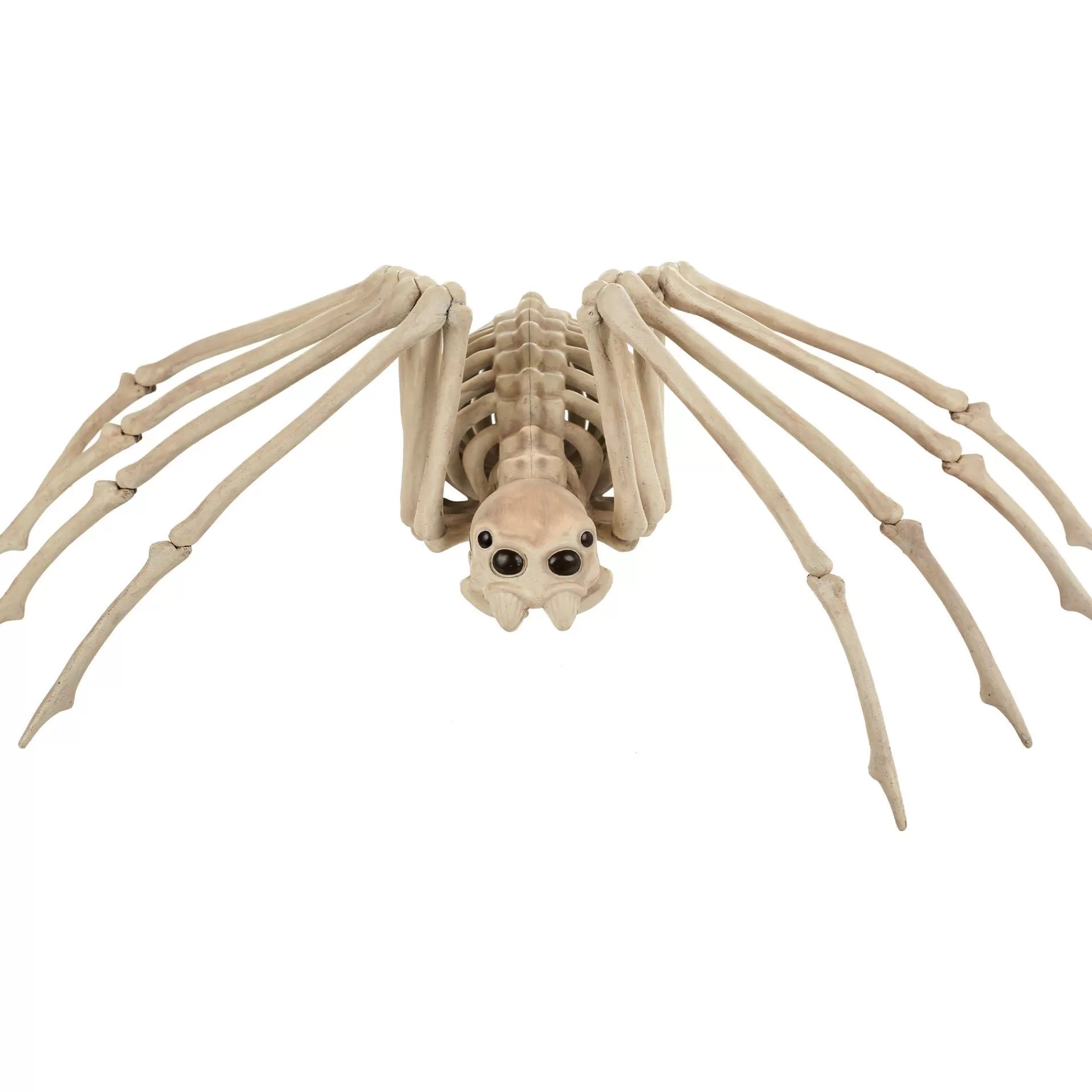 Party City Boneyard Glam | Skeleton Spider Decoration, 21In X 12In