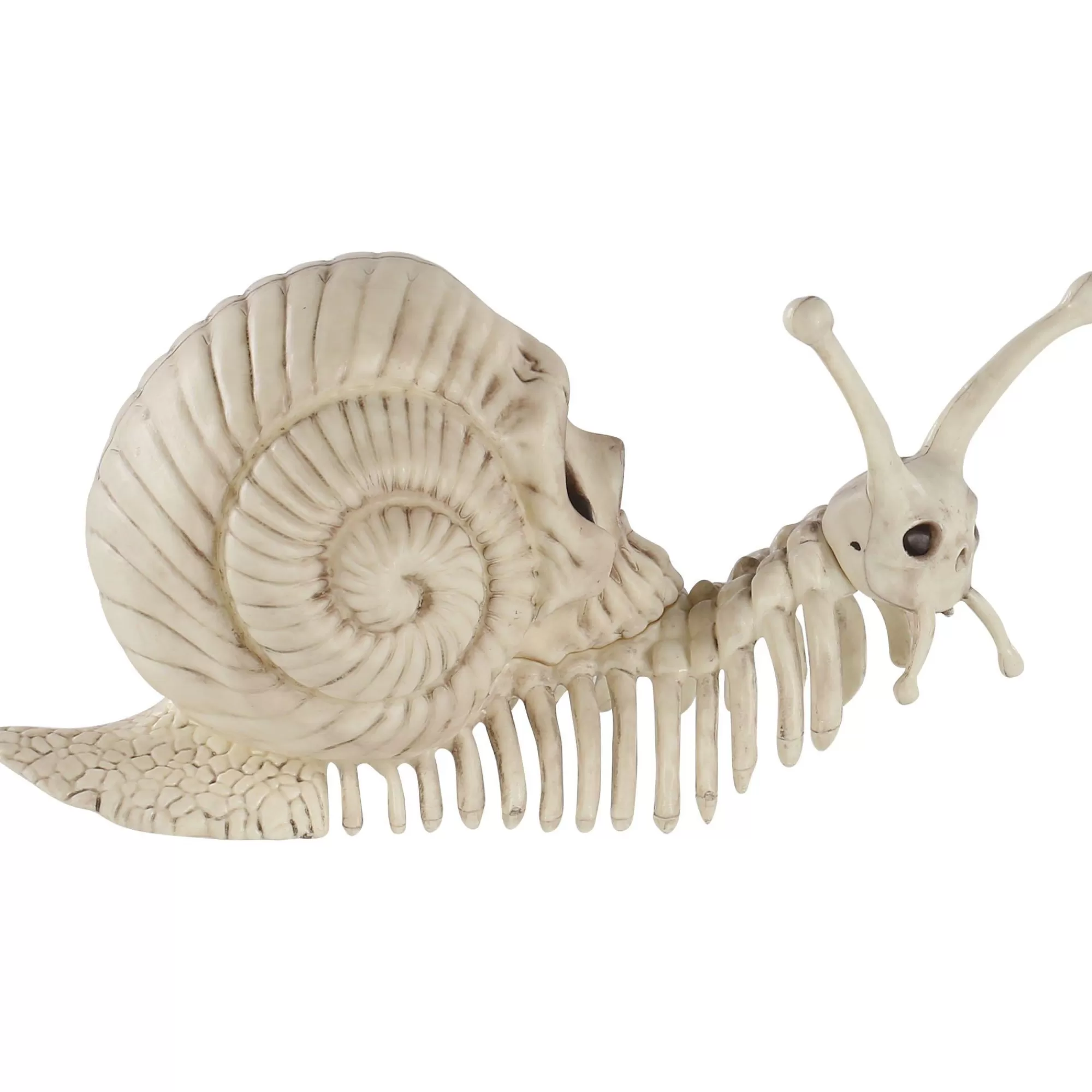 Party City Skeletons | Skull Shell Plastic Snail Skeleton, 3.9In X 8.6In