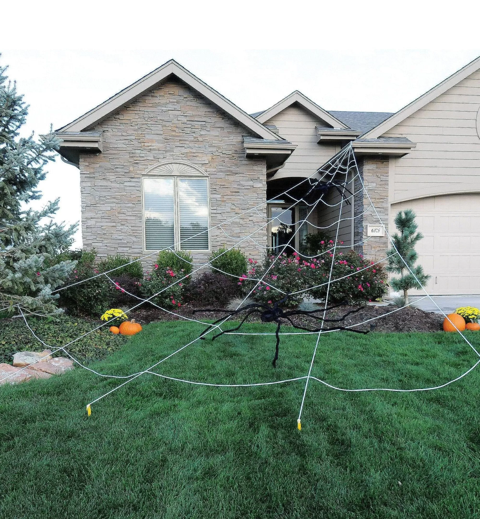 Party City Wicked Haunting | Spider Web Yard Decoration