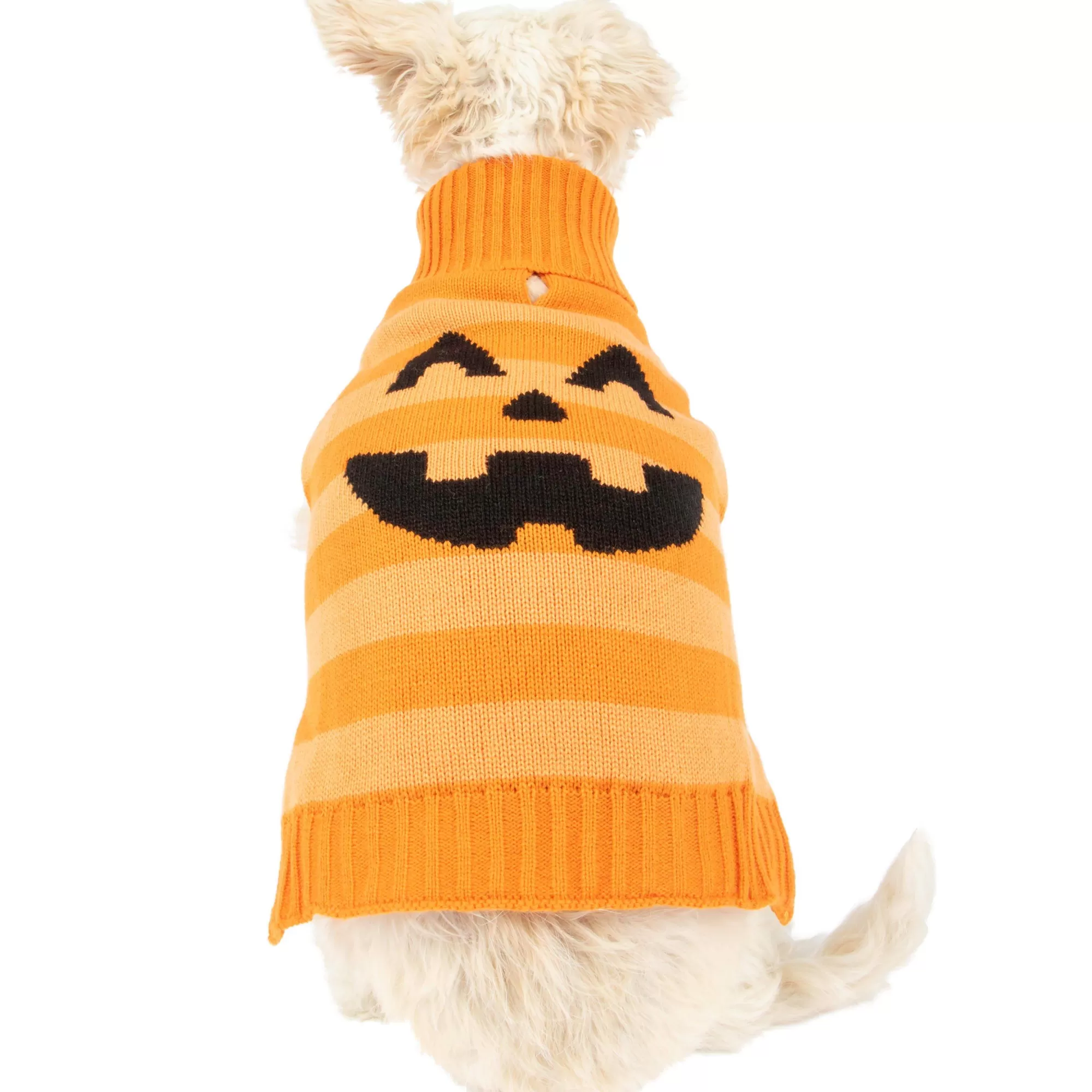 Party City Dog & Pet Costumes-Striped Orange Jack-O'-Lantern Dog Sweater