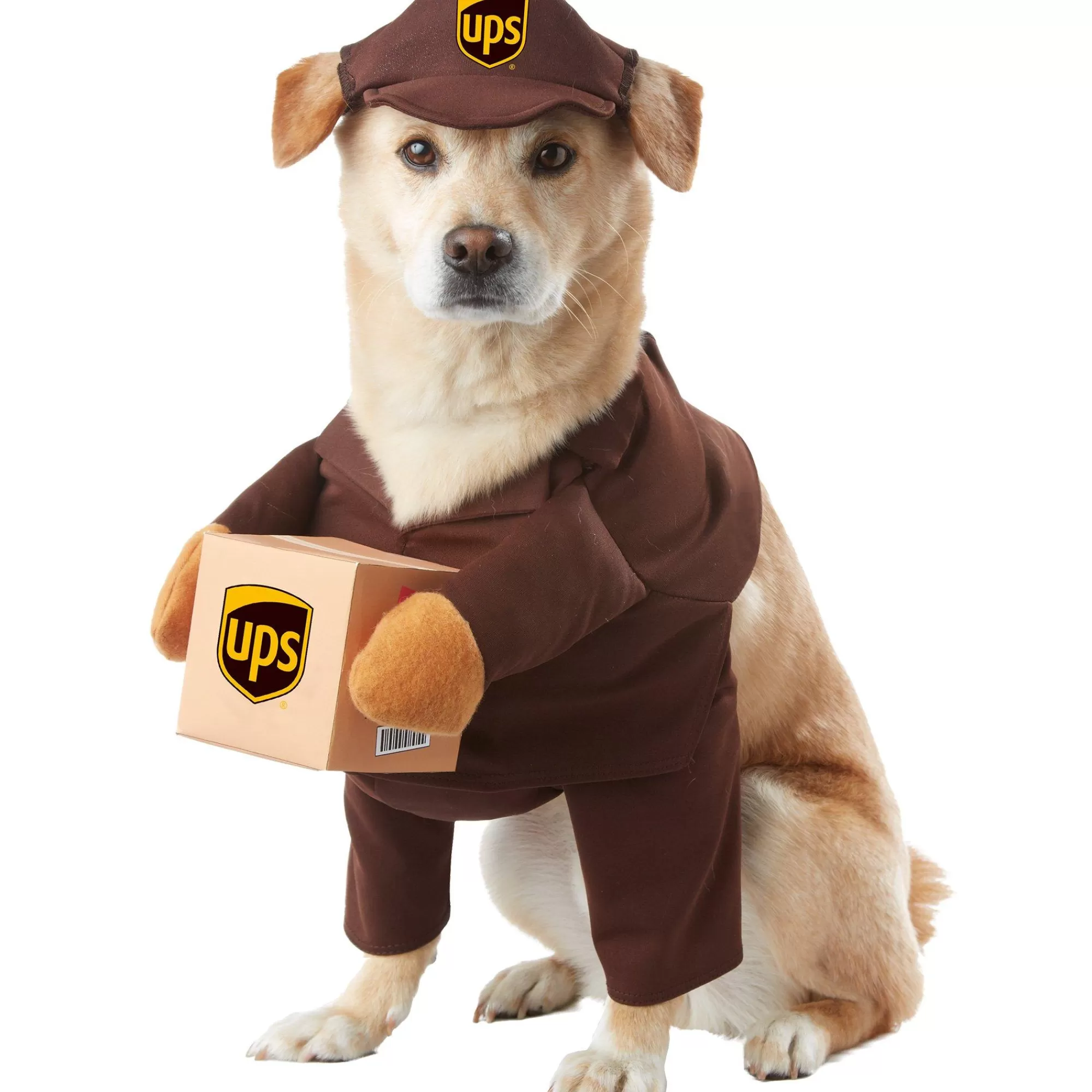 UPS Dog & Pet Costumes- Driver Dog Costume