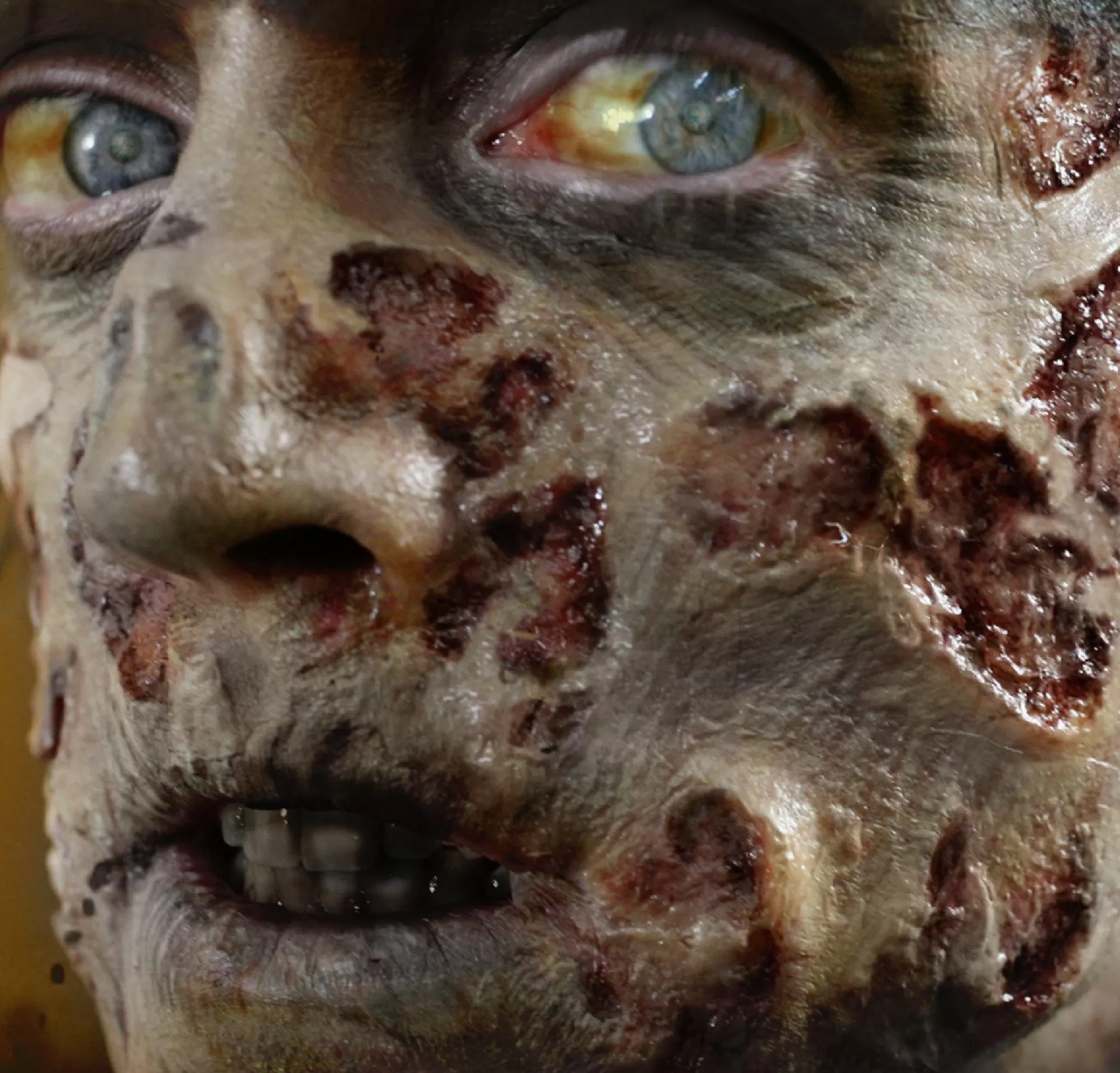 Party City Makeup-Zombie Rot Wound Prosthetics 4Ct- Tinsley Transfers